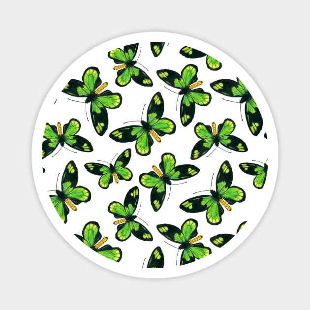 Queen Victoria' s birdwing butterfly pattern Magnet by katerinamk